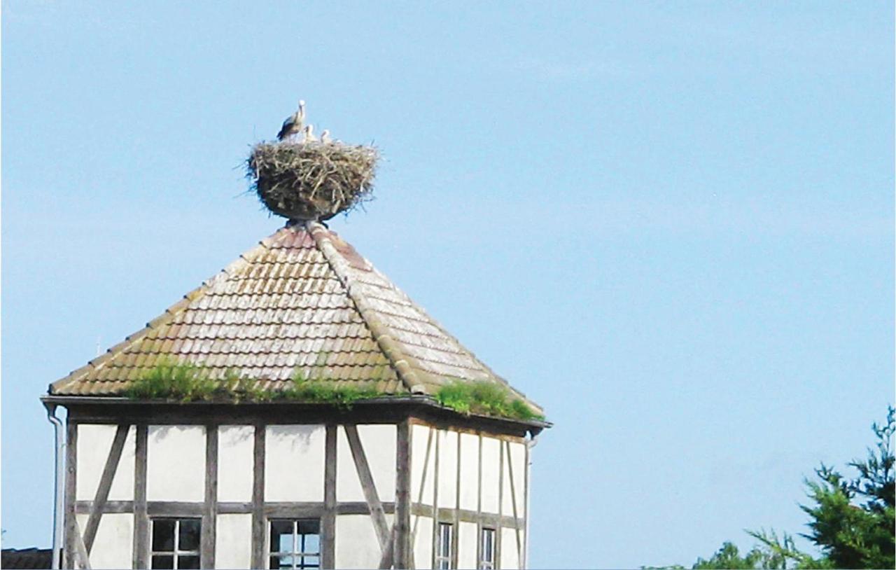 Herrenhaus Luebbenow Экстерьер фото